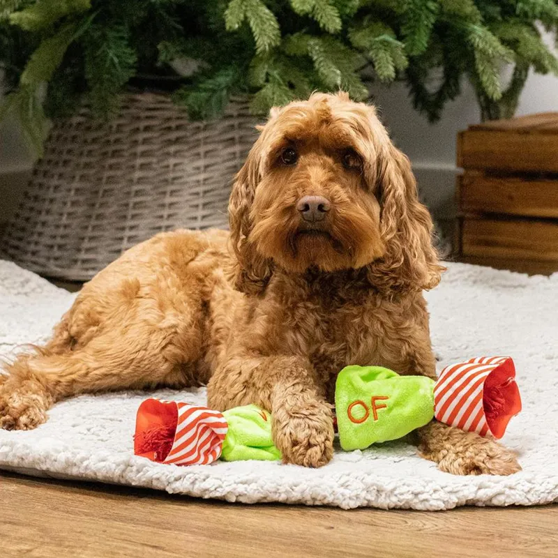 Rosewood Crinkle Candy Rope Dog Toy-1